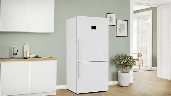 Двухкамерный холодильник Bosch KGP86FWC0N preview 2