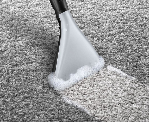 Пылесос Bosch BWD41720 preview 4