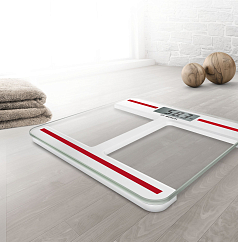 Весы напольные Bosch PPW 4202