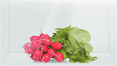 Двухкамерный холодильник Bosch KGE 36XW20 R