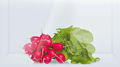 Двухкамерный холодильник Bosch KGE 39AI20 R